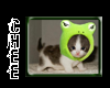 *Chee: Kitty Frog Hat