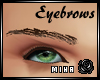 [M] Jaime Eyebrows Brown