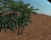 [CI]Tropics Palm Trees