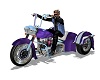 CK  Trike Purple