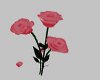 E~Animated Pink Roses