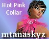 CL Hot Pink Collar