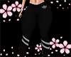 Sport Pant Grey Rll