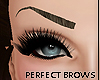 Perfect Eyebrows} Brown