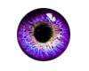 Pretty Purple Eyes