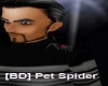 [BD] Pet Spider