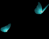  Blue Butterflies
