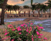 Sunset  Pool