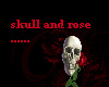 *IA* Skull and rose