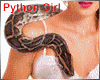 **Ster Halloween python