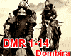 DMR 1-14