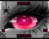 Quinn l Eyes