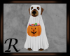 Halloween Ghost Dog