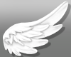 angel wings white