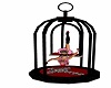 bk/rd burlesque birdcage