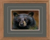 Bear 3