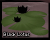 NK* Black Lotus
