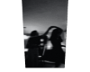 motion