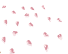 Pink Scattered petals