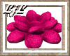 Ultra Pink Plush Lotus