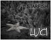 [LyL]Immersion Starfish