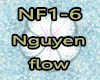 [AB]Nguyen flow
