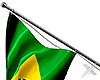 tz ❌ Flag  Brazil