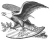 American Eagle tat