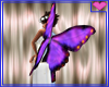 Fairy Princess Wings