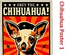 chihuahua poster 1