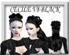 [FCS] Cecile V8 Black