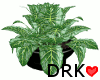 -Drk- Black Potted Plant