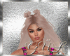 Aura Latte BUNDLES