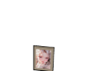 M_Pic1