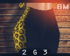 2G3. SUP Leo BM