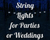 Twilight Wedding Lights