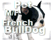 R|C French BullDog Black