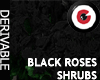 Goth Black Roses Shrubs