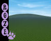 *R* Extra Large Field