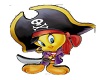 3d pirate tweety pic