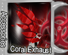 [I] Ayre Coral Exhaust