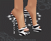 [M1105] Zebra Beauty Hls