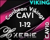 CAVI Caribean Vikings