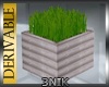 3N:DER:. Plank/Plant