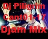 .D. Dj Piligrim Mix Cant
