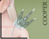 !A Crystal Shoul