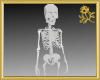 Unisex Skeleton Avatar
