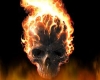 Fire Skull Bar