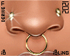 Nose Gold Piercings DRV