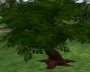 [TA] Large Tree